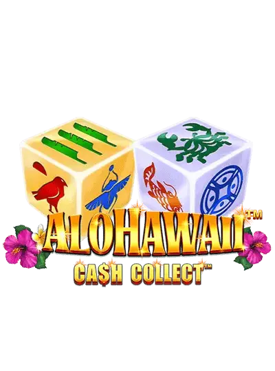 bdjk999 আলোহাওয়াই_ ক্যাশ কালেক্ট™