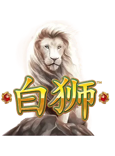 bdjk999 বাই শি